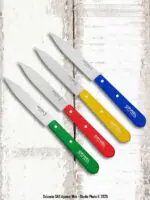 Coffret 4 couteaux d'office couleurs Opinel N°112 Jusqu’à Épuisement Des Stocks