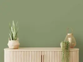 Balmy Basil Bon Plan