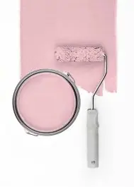 Achetez Aujourd’hui Peachy Pink "c2030"