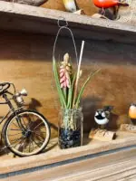 Achat Immédiat Bocal suspendu 2 fleurs Muscari rose